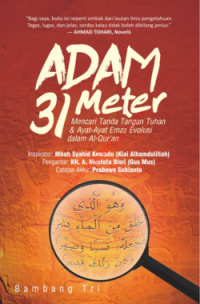 Adam 31 meter